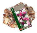 Grønne Fingre® tulipanløg 'Triumph Pastel' 35 stk.